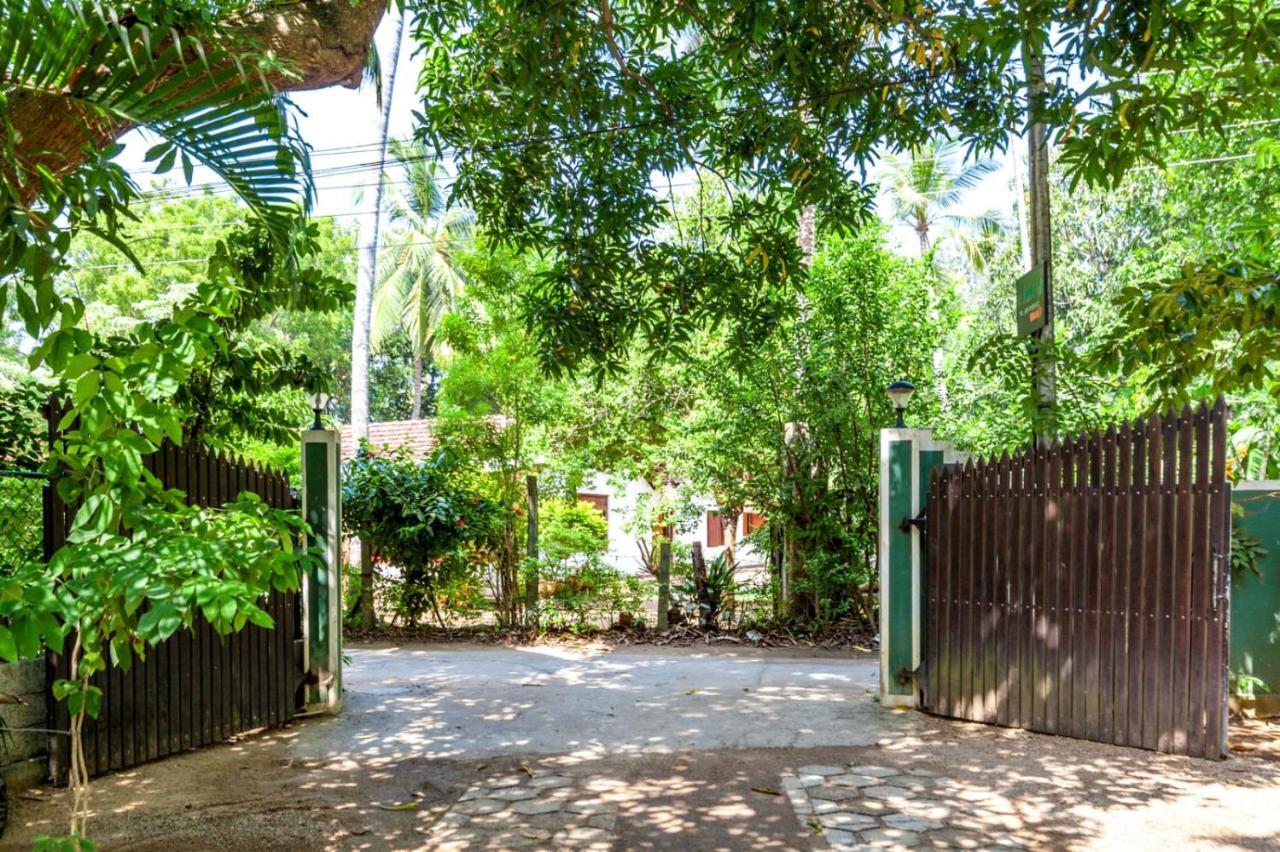 Julia Safari Inn ทิซซามาฮารามา ภายนอก รูปภาพ